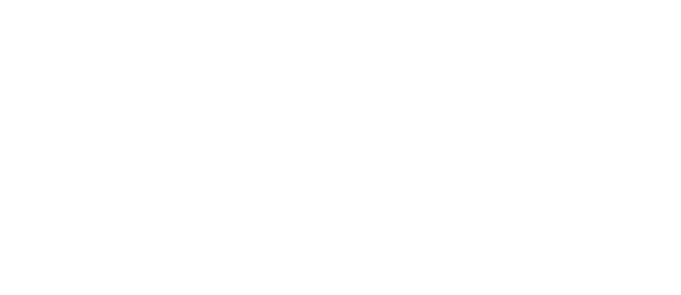 Logo American Bull