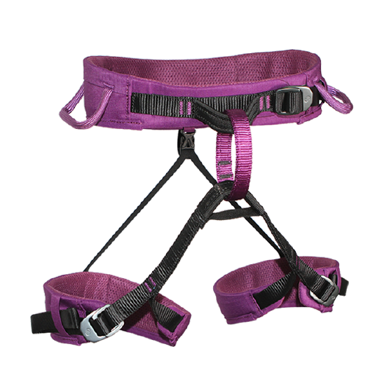 ARNÉS PÉLVICO TALLA XS MORADO ESCALADA Y RAPEL VIRGO XS ARMBURY